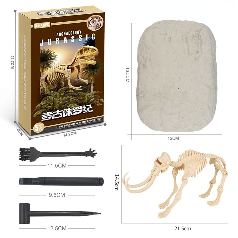 Kit de Escavação de Fósseis de Dinossauros