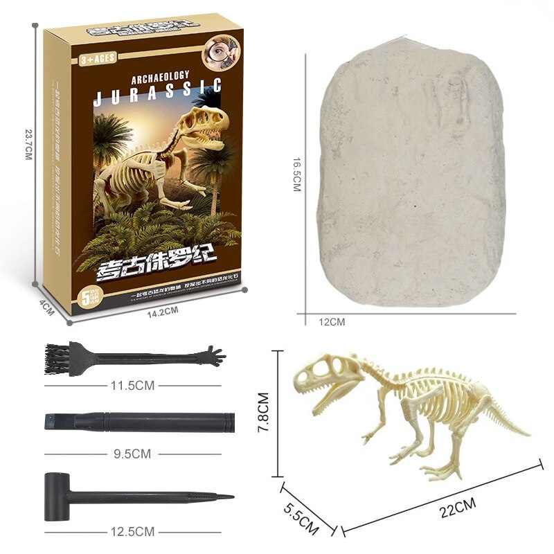 Kit de Escavação de Fósseis de Dinossauros