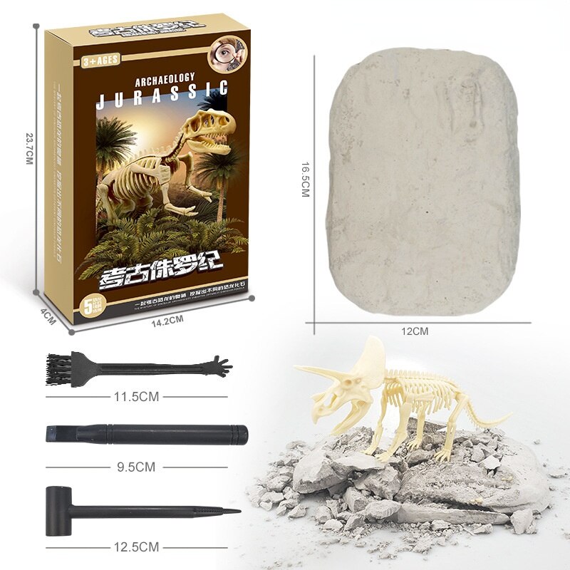 Kit de Escavação de Fósseis de Dinossauros