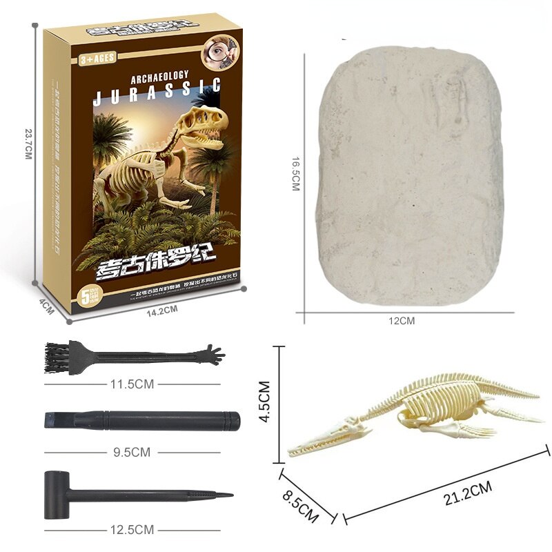 Kit de Escavação de Fósseis de Dinossauros