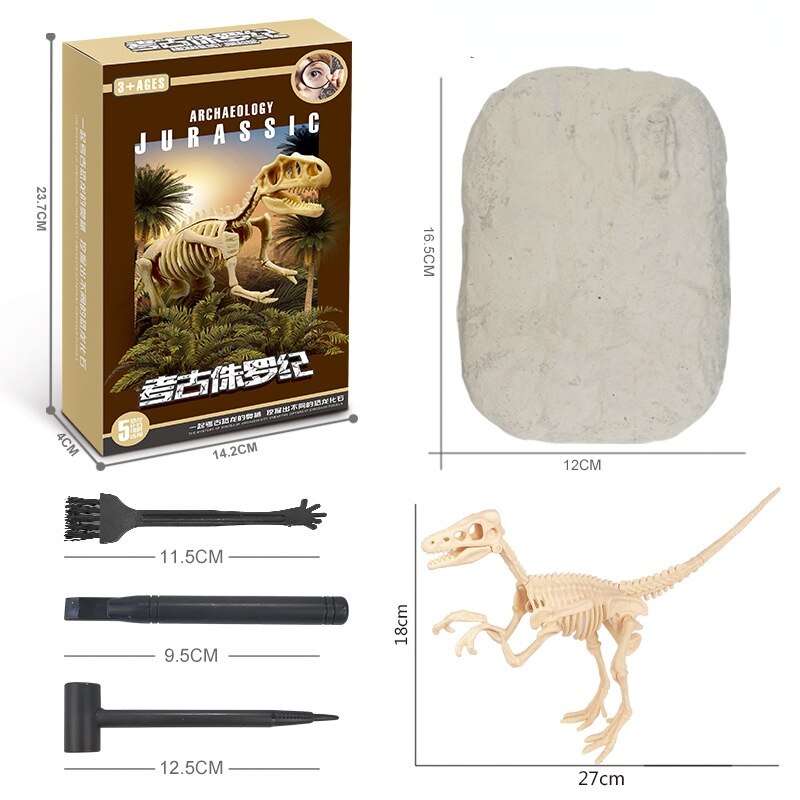 Kit de Escavação de Fósseis de Dinossauros