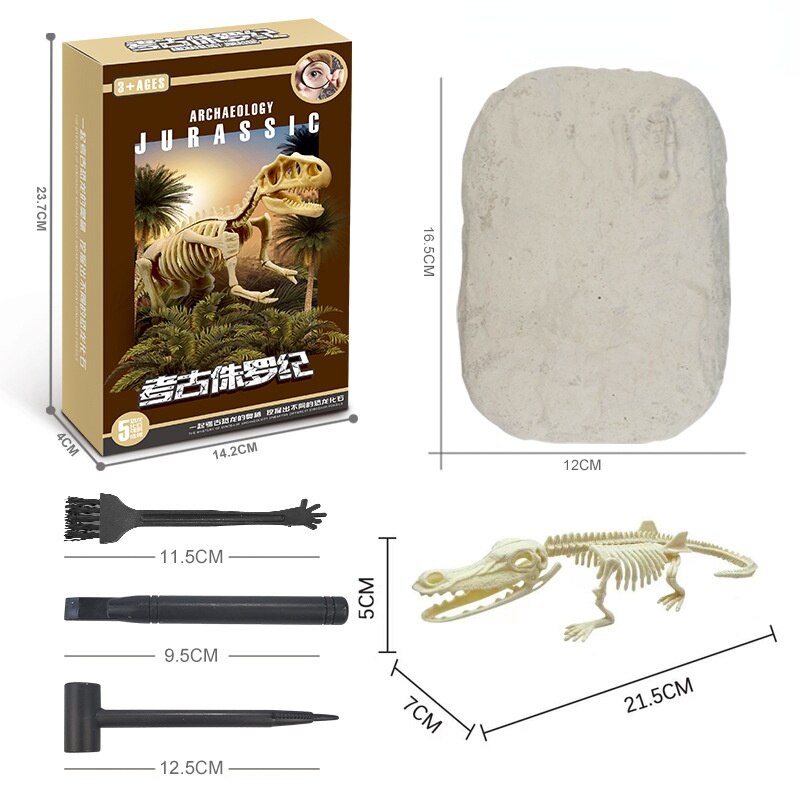 Kit de Escavação de Fósseis de Dinossauros